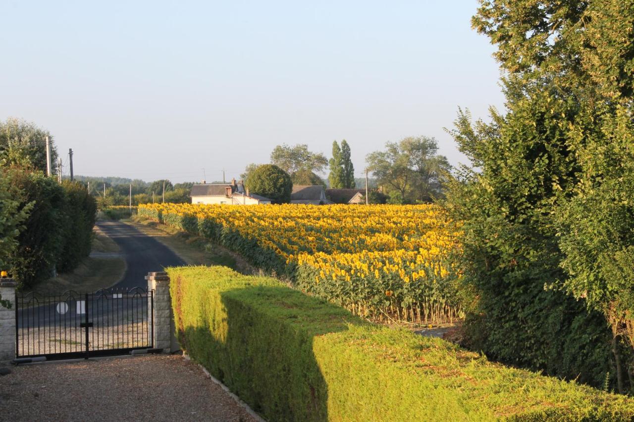 Les Pins á La Cerniere Gites Deneze-sous-le-Lude Extérieur photo