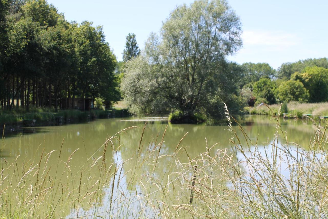 Les Pins á La Cerniere Gites Deneze-sous-le-Lude Extérieur photo