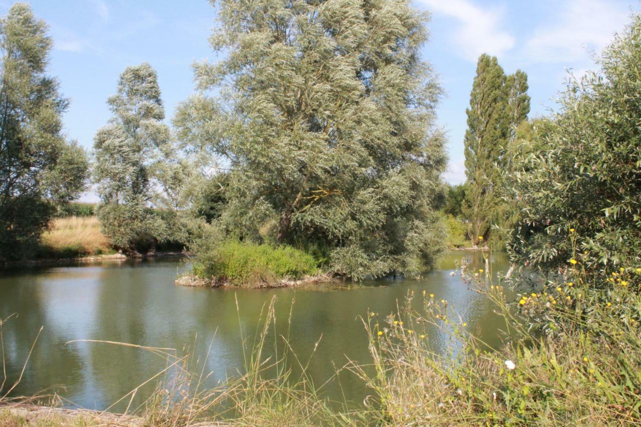 Les Pins á La Cerniere Gites Deneze-sous-le-Lude Extérieur photo
