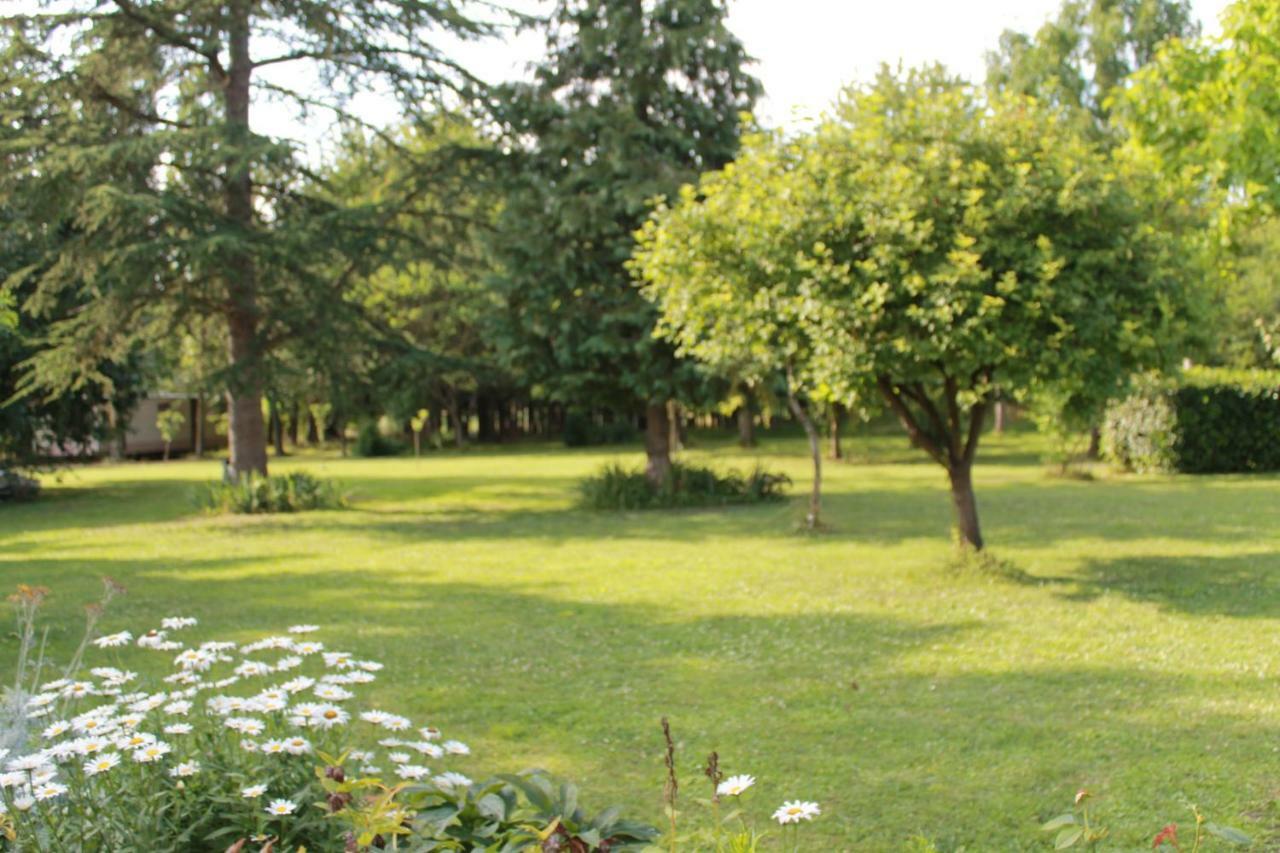 Les Pins á La Cerniere Gites Deneze-sous-le-Lude Extérieur photo